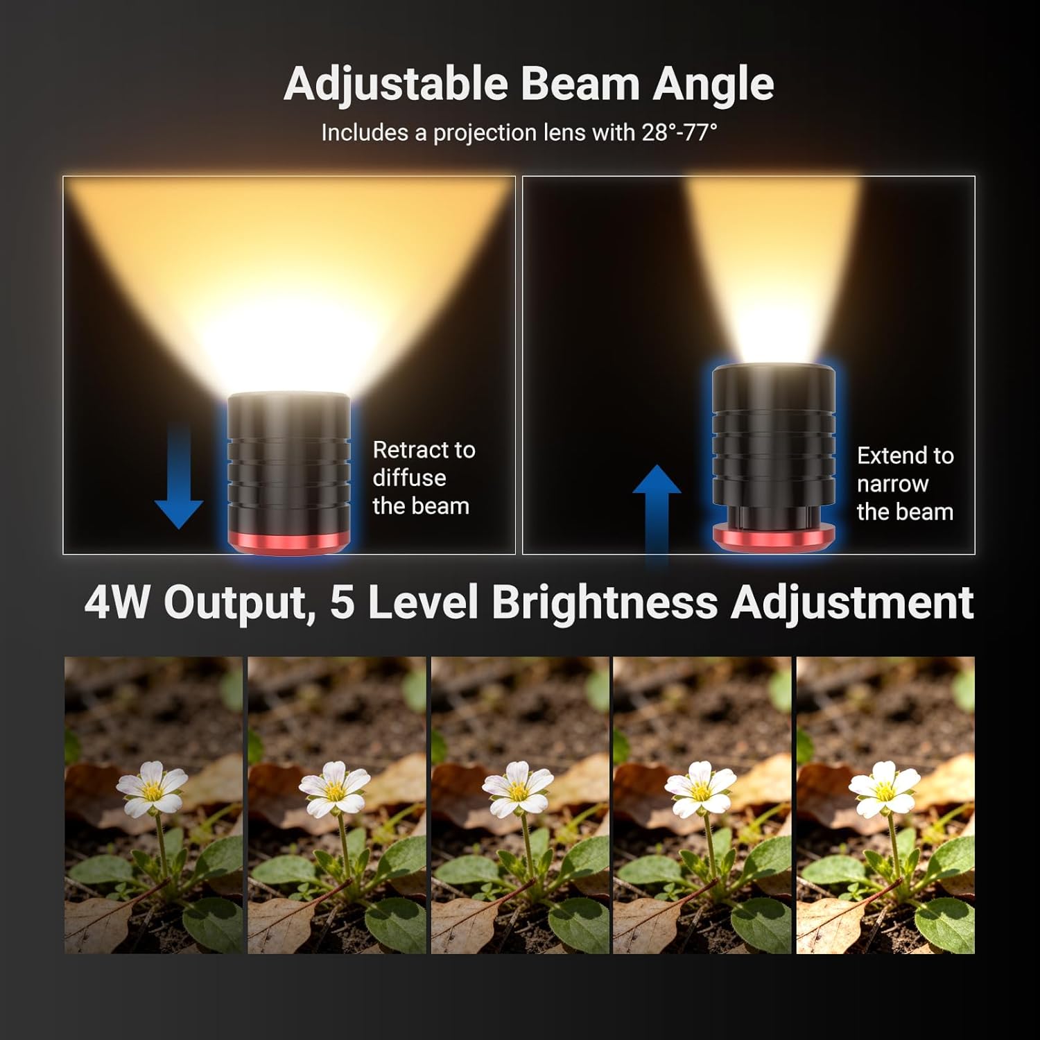 NEEWER Basics ML01 USB C LEDライ - Photography Lighting Basics のレビューと価格