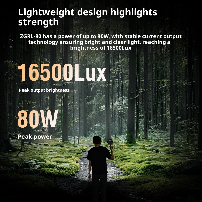 ZGRL80 80W COB LEDビデオライト ハンドヘル - Photography Lighting For Outdoors のレビューと価格