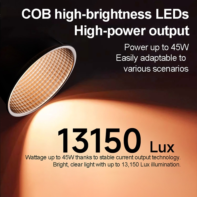 60W RGBビデオライト ポータブルLED撮影スタジオライ - Photography Lighting Background のレビューと価格