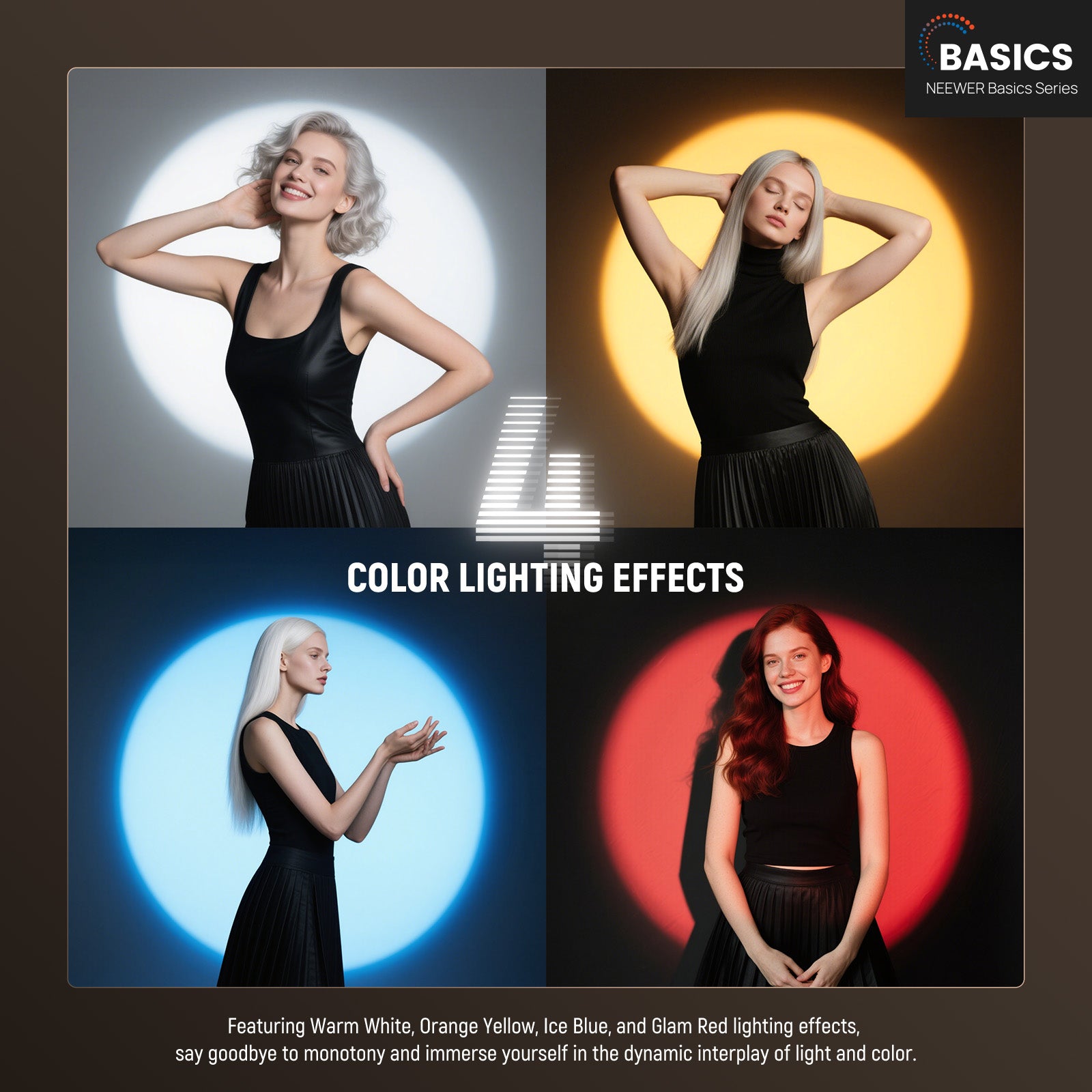 NEEWER BASICS FL10 写真撮影用懐中電灯 L - Photography Lighting Basics のレビューと価格